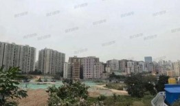 深圳布吉最新爆料,揭秘社区新动态与民生焦点