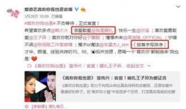 网友爆料最新排名,最新排名出炉，行业风云再起！